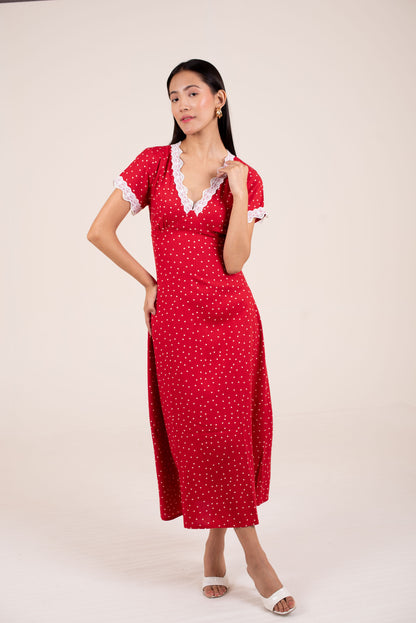 Vintage Rose lace Polka Dress