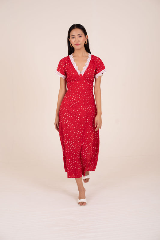 Vintage Rose lace Polka Dress